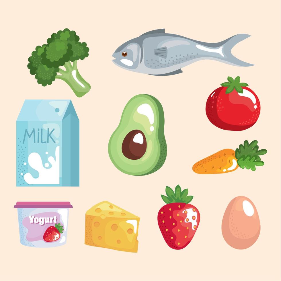 healthy fresh food vector