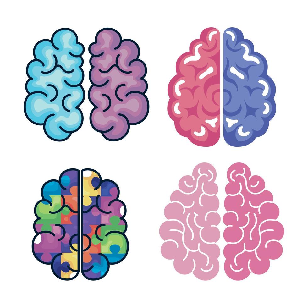 creative four brains vector