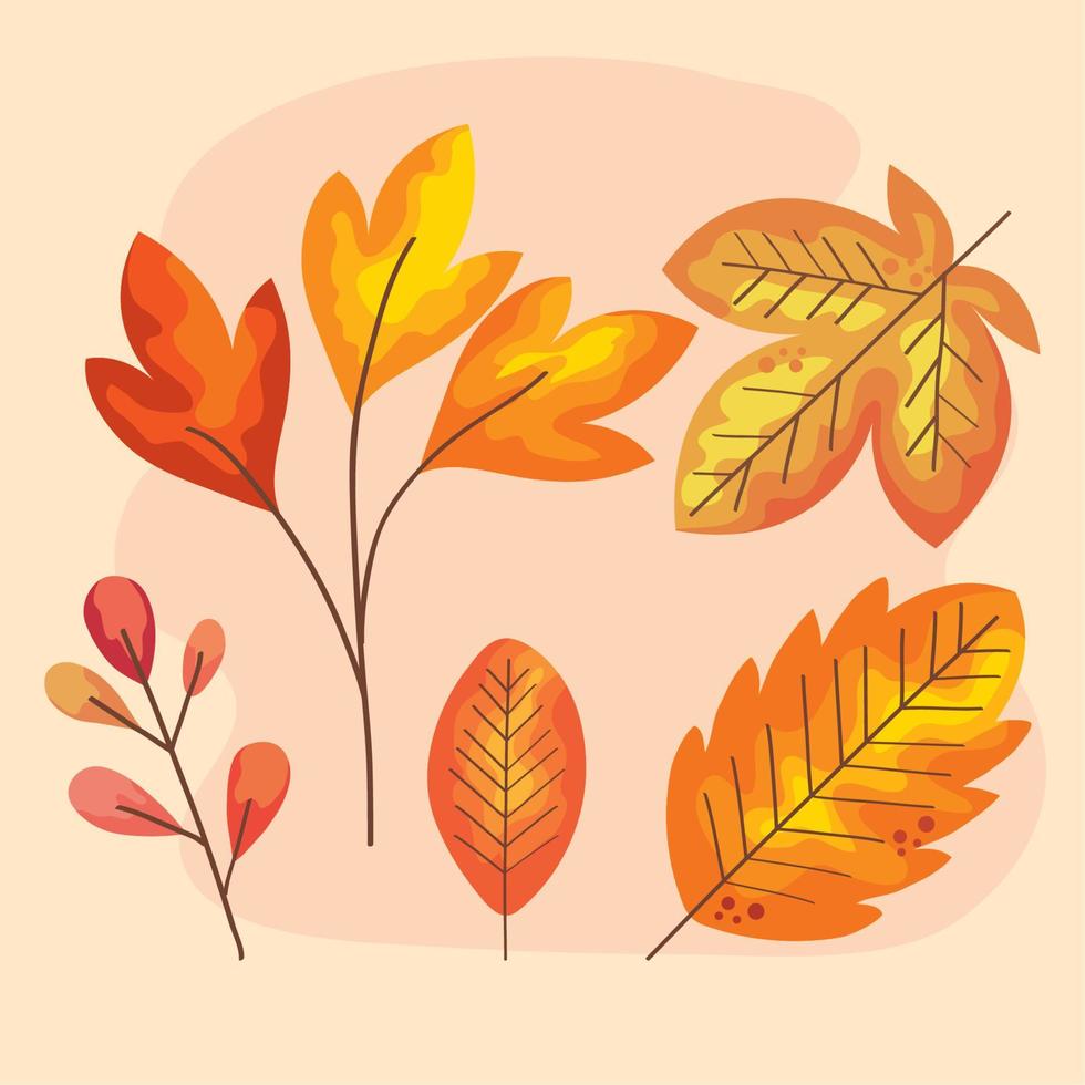 autumn five leafs vector