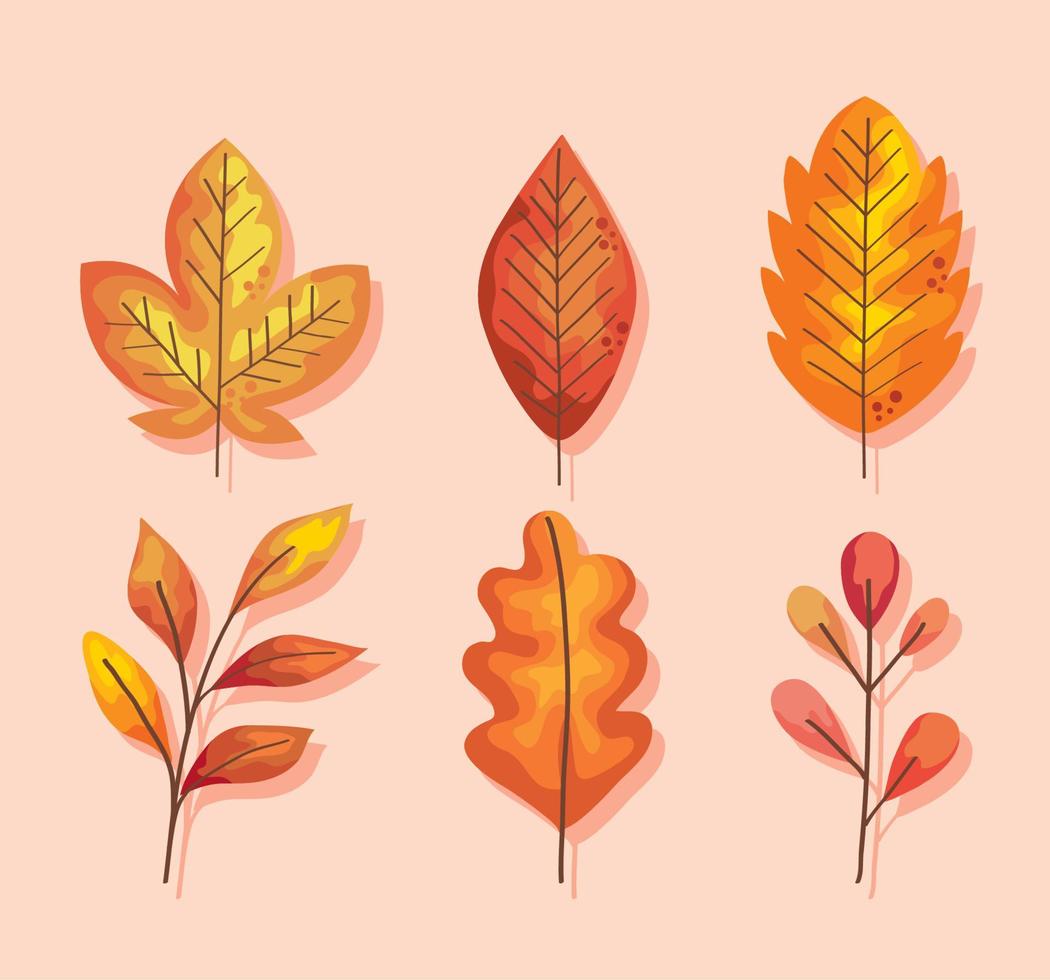 seis hojas de otoño vector