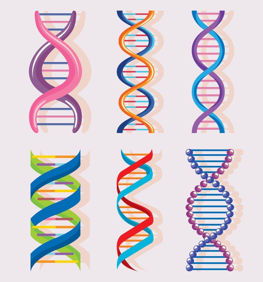 seis moléculas de adn vector