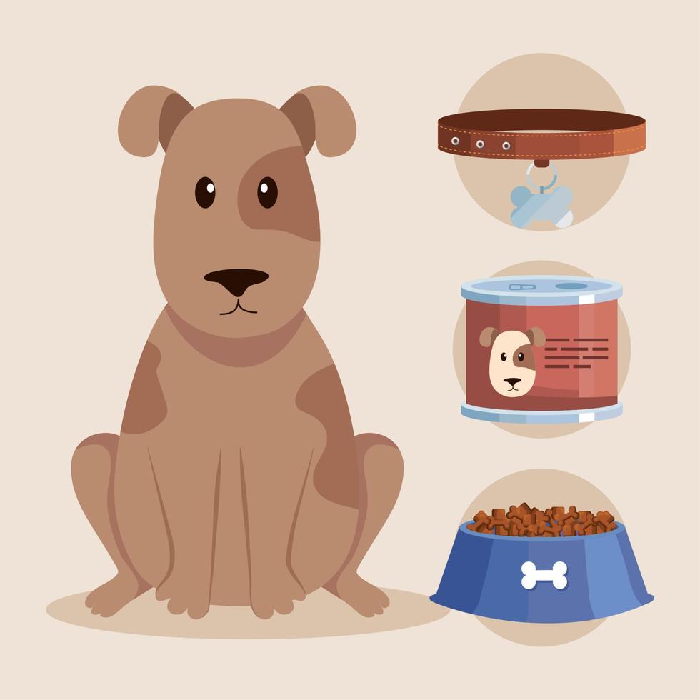 dog and pet shop icons vector