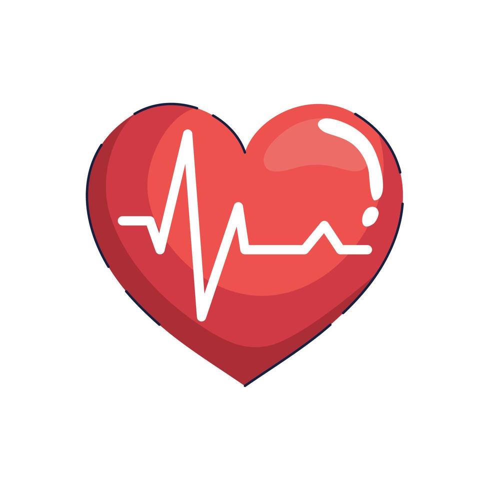 heart cardiology icon vector