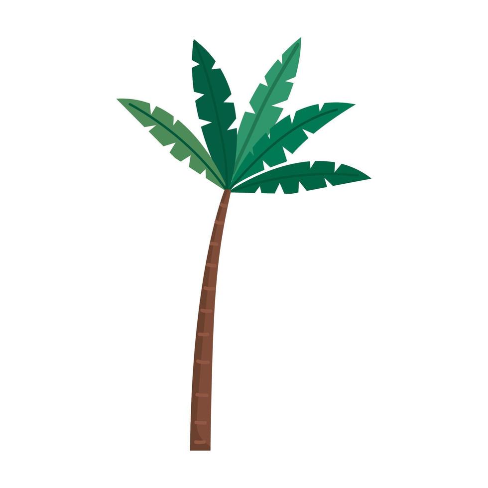 árbol palmera planta tropical vector