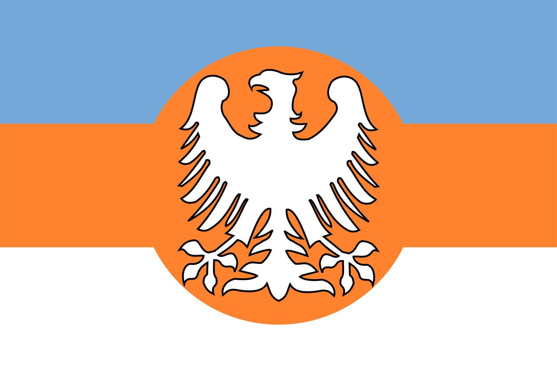 fictional-flags