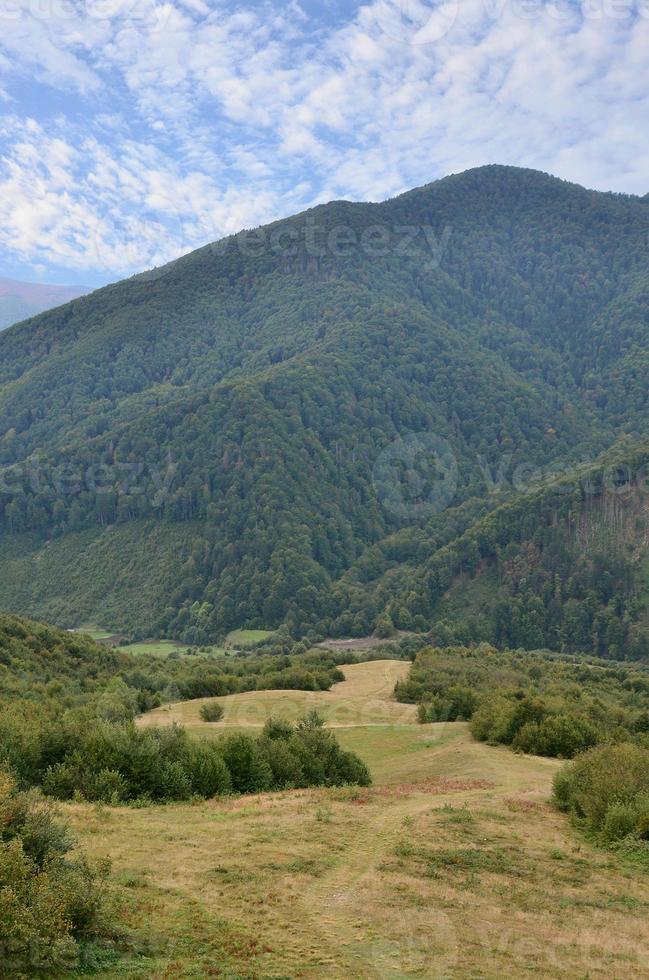 Fragment of the mountainous terrain in the Carpathians, Ukraine. The forest is forgiven by the reliefs of the Carpathian Mountains photo