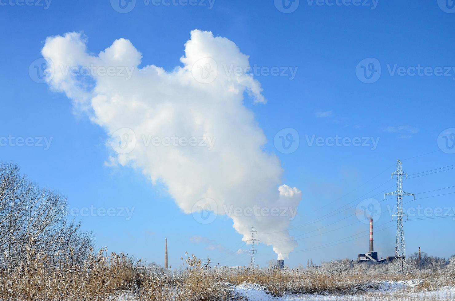 The industrial plant is located behind the swampy terrain, covered with snow. Large field of yellow bulrushes photo