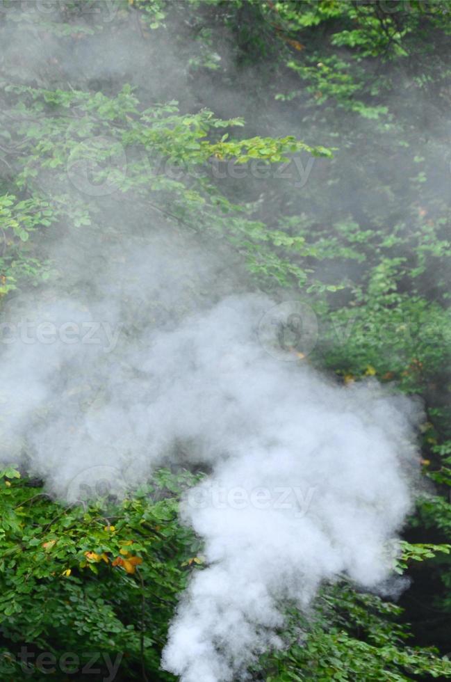 White smoke spreads over the background of forest trees photo