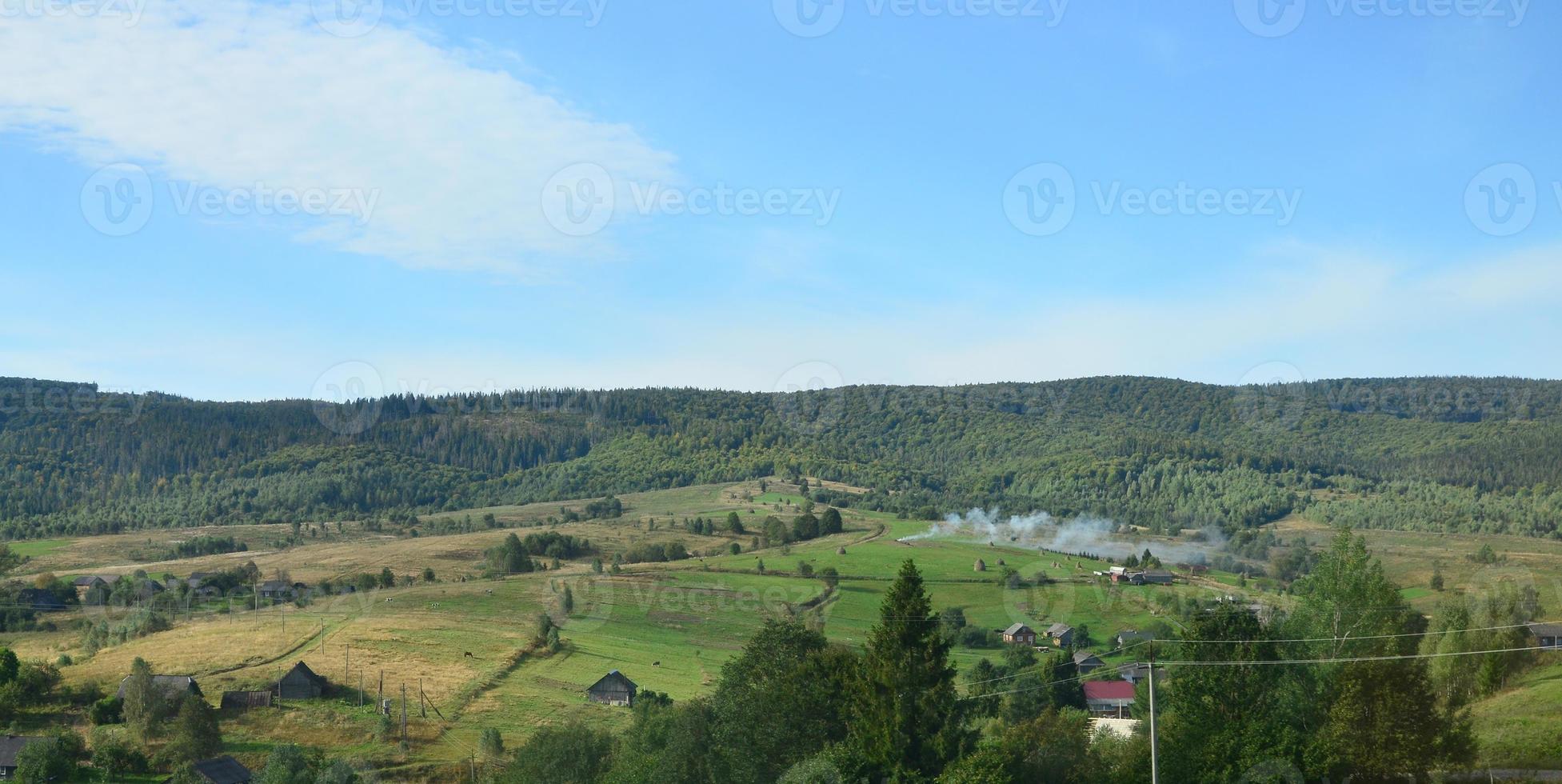 Photo of the Carpathian Mountains, which have a lot of coniferous trees. Forest and mountain landscape in the early autumn season