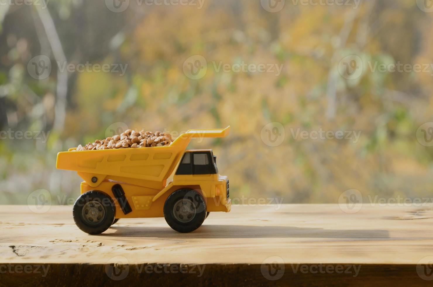 A small yellow toy truck is loaded with brown grains of buckwheat. A car on a wooden surface against a background of autumn forest. Extraction and transportation of buckwheat photo