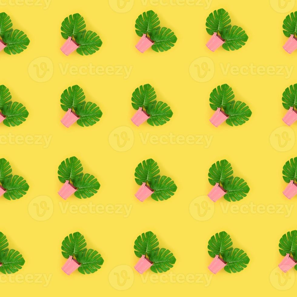 Tropical palm monstera leaves lies in a pastel pails on a colored background. Flat lay trendy minimal pattern. Top view photo