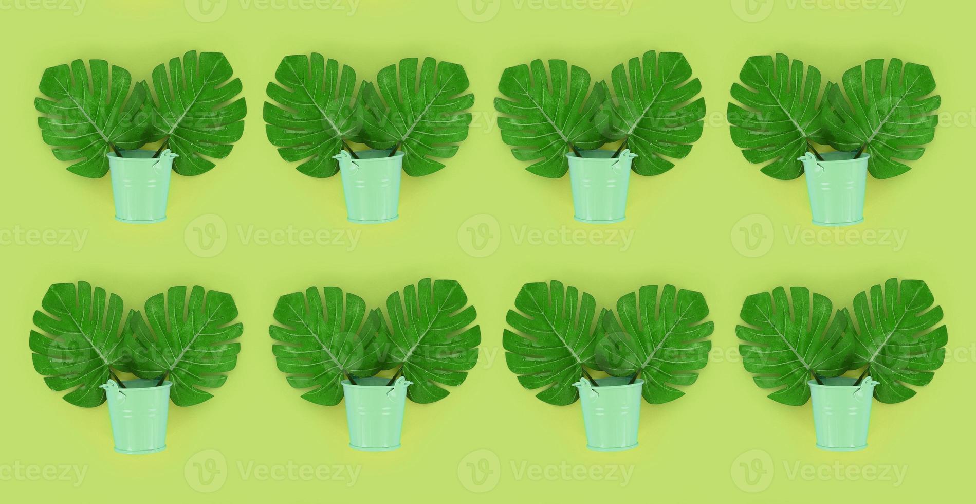 Tropical palm monstera leaves lies in a pastel pails on a colored background. Flat lay trendy minimal pattern. Top view photo