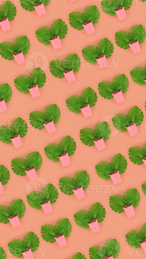 Tropical palm monstera leaves lies in a pastel pails on a colored background. Flat lay trendy minimal pattern. Top view photo