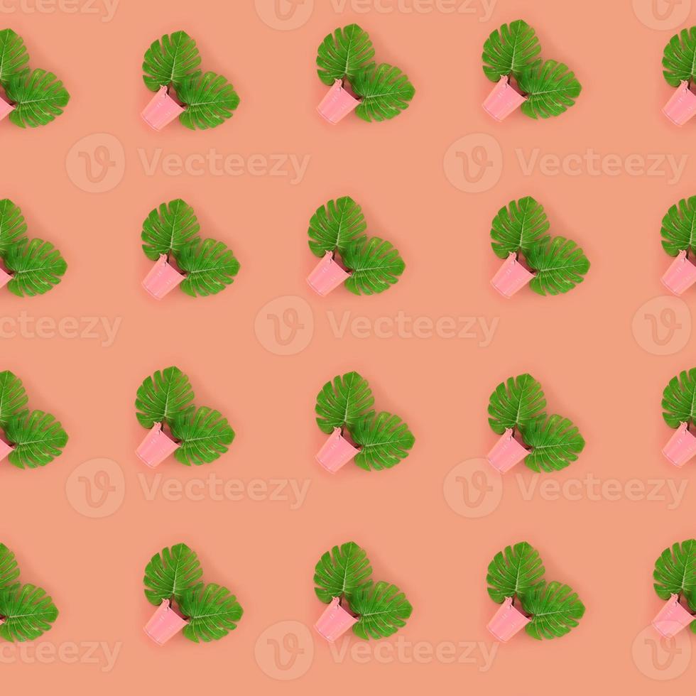 Tropical palm monstera leaves lies in a pastel pails on a colored background. Flat lay trendy minimal pattern. Top view photo