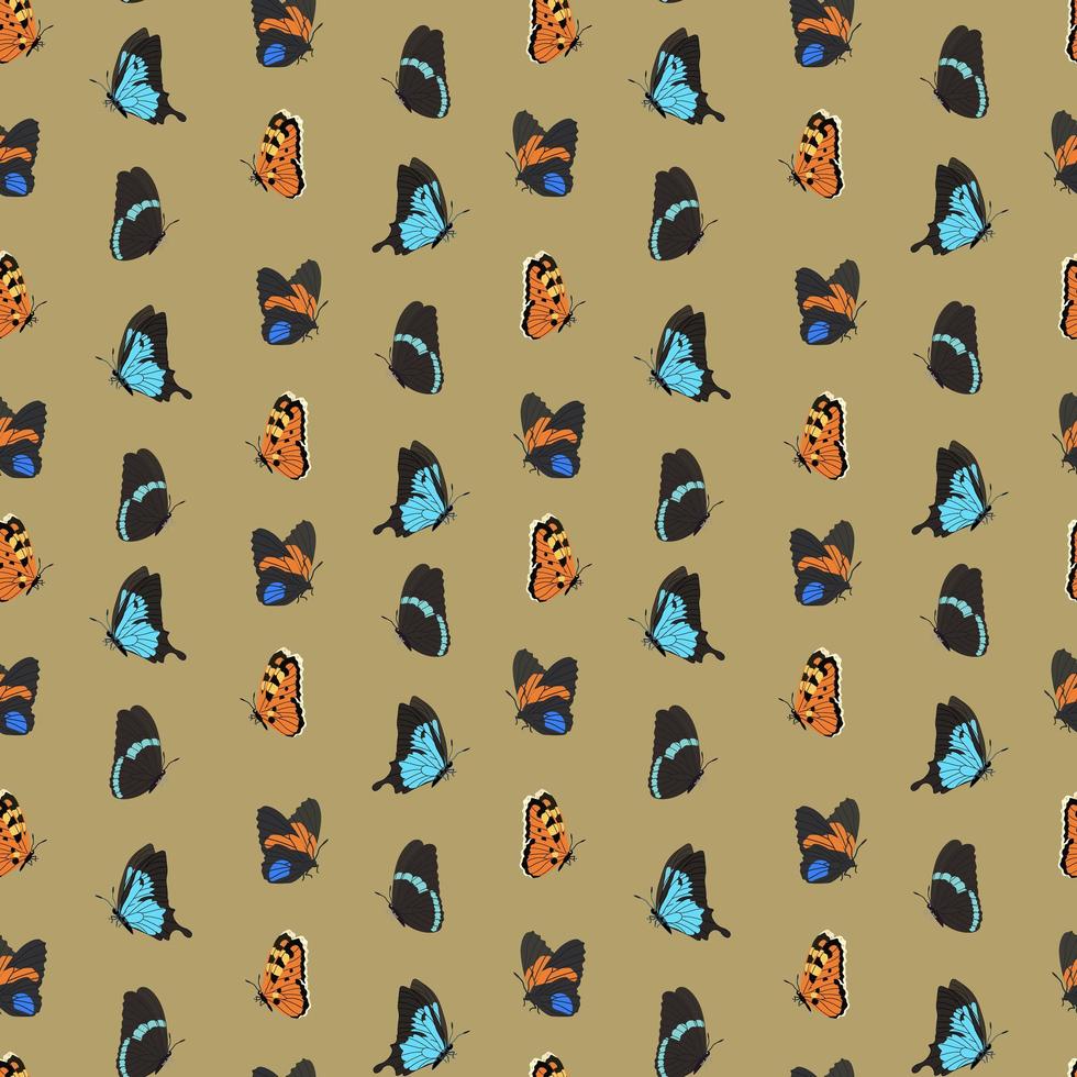 Seamless pattern with butterflies. Vector illustration photo