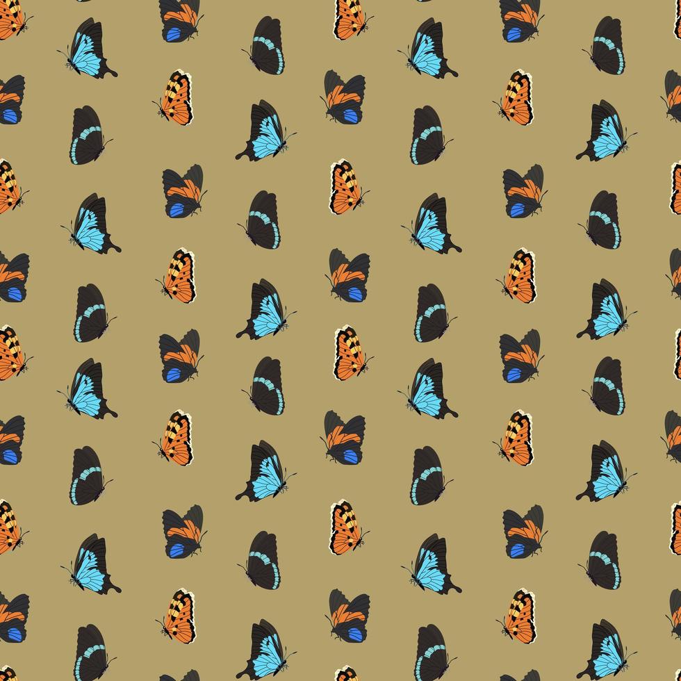 Seamless pattern with butterflies. Vector illustration photo