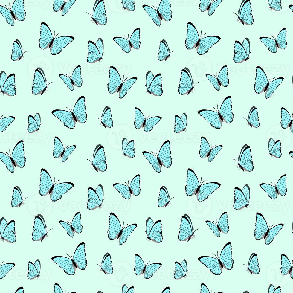 Seamless pattern with butterflies. Vector illustration photo