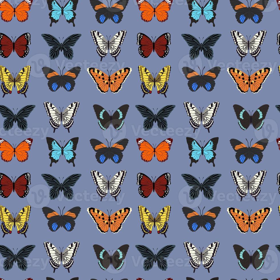 Seamless pattern with butterflies. Vector illustration photo