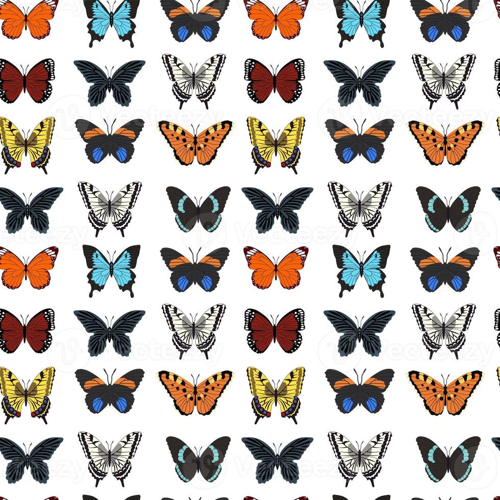 Seamless pattern with butterflies. Vector illustration photo