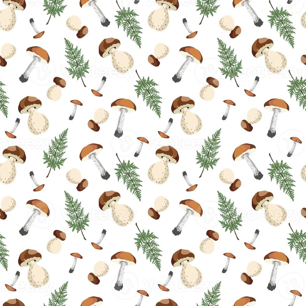 Autumn Mushrooms seamless pattern -  Vector illustration photo