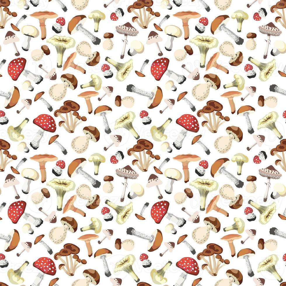 Autumn Mushrooms seamless pattern -  Vector illustration photo