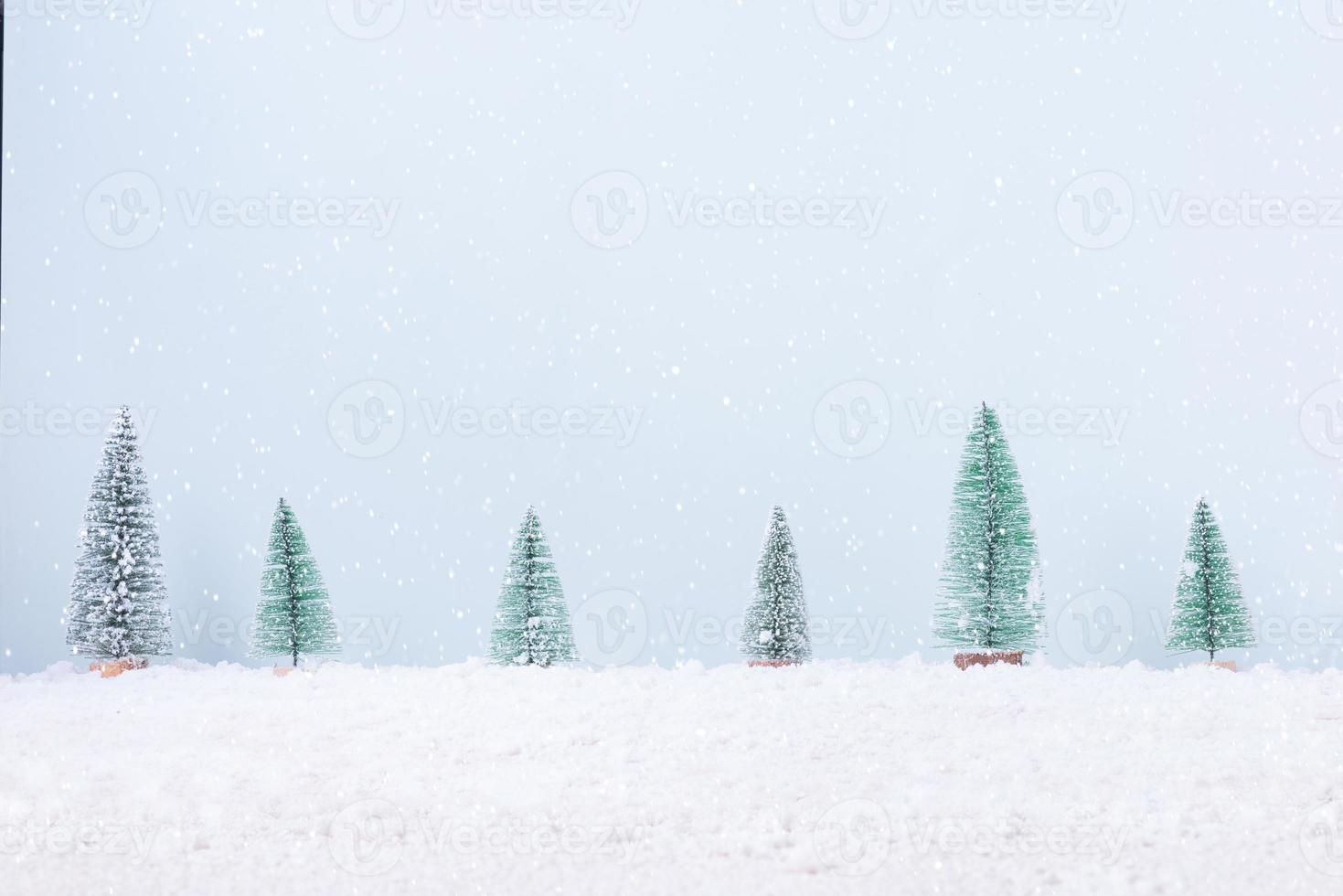 Christmas tree with snow frost field of natural Landscape background for celebration and Happy New Year photo