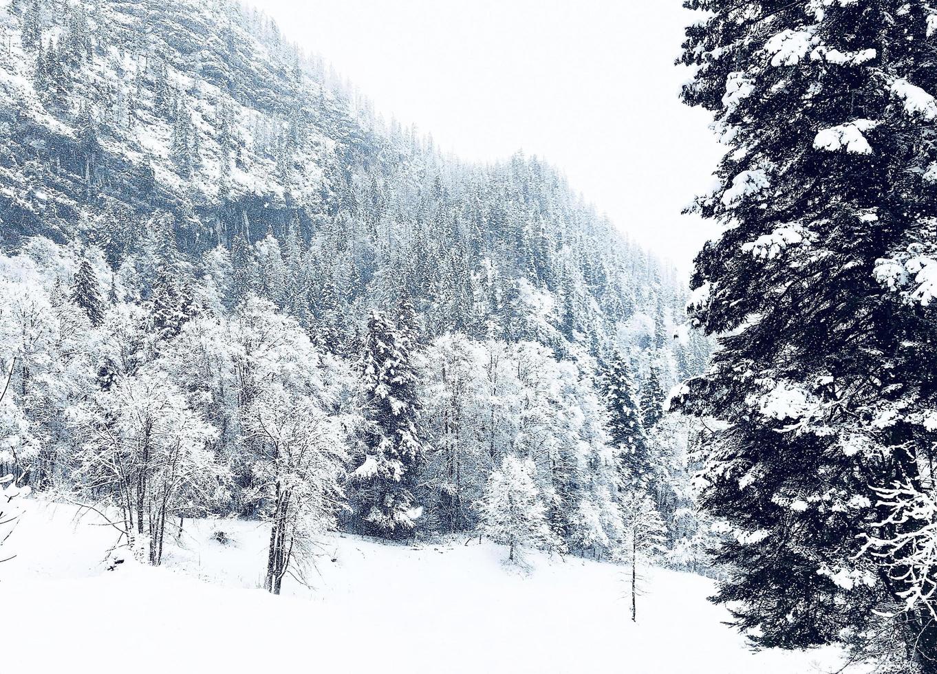 Hallstatt trekking Winter snowing in the mountain landscape and the pine forest vertical in upland valley leads to the old salt mine of Hallstatt, Austria photo