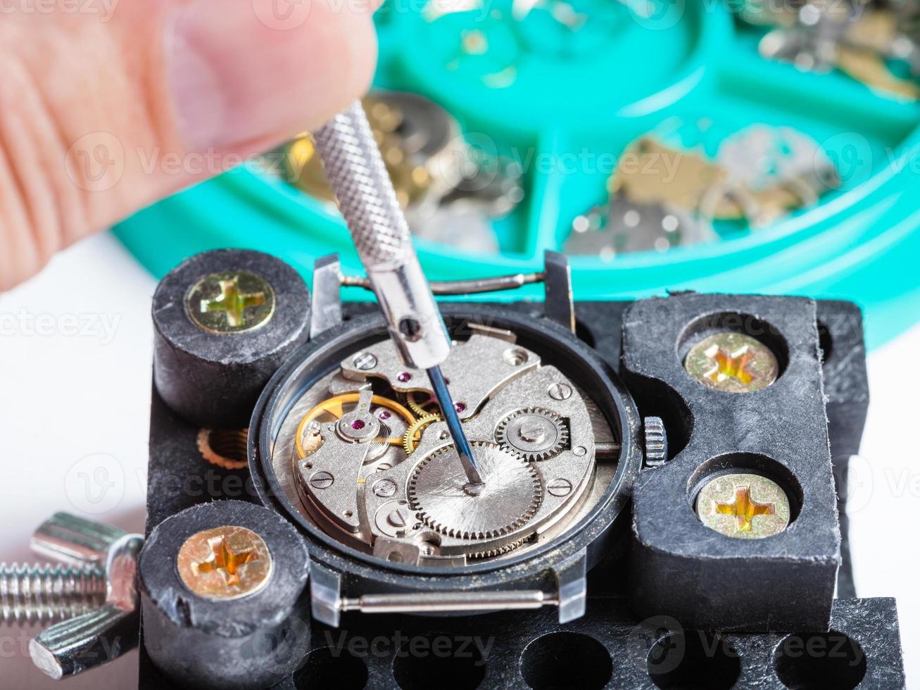 repairing of wristwatch in holder with screwdriver photo