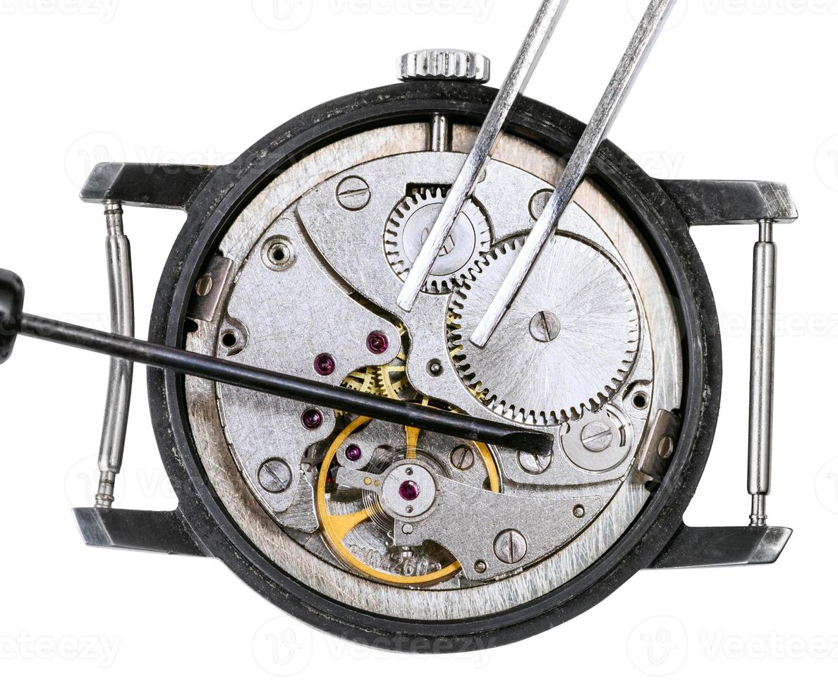 screwdriver and tweezers on repaired watch photo
