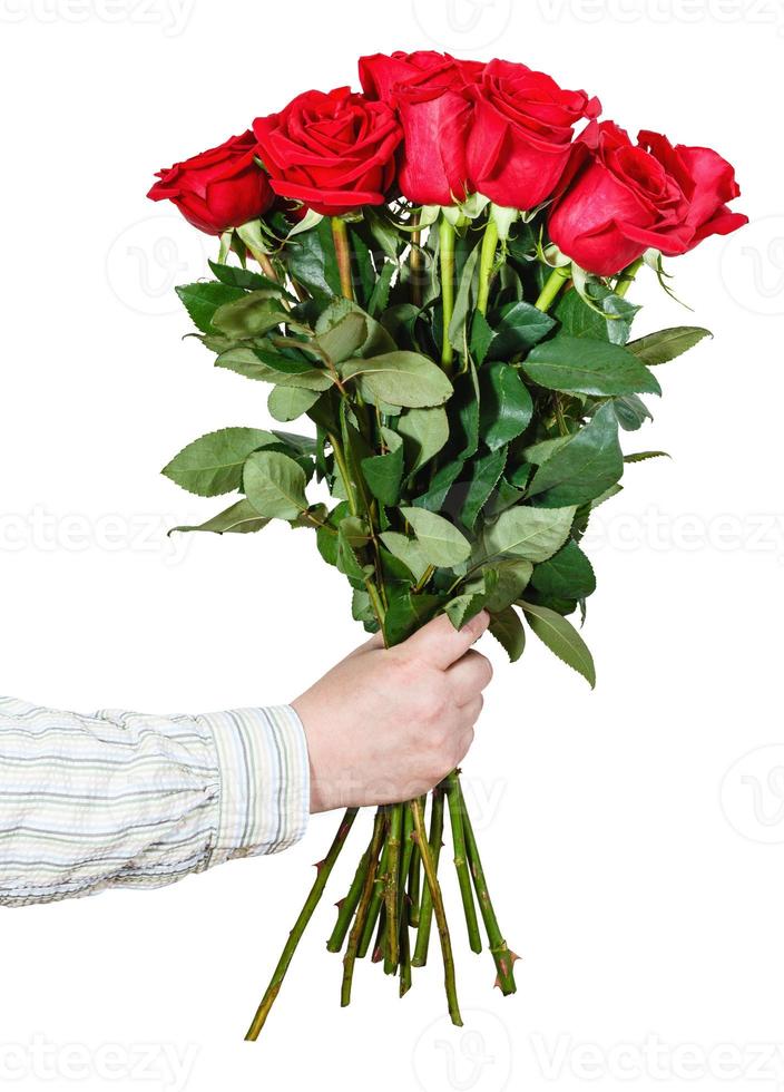 congelador físicamente edificio mano dando ramo de muchas rosas rojas aisladas 12586036 Foto de stock en  Vecteezy