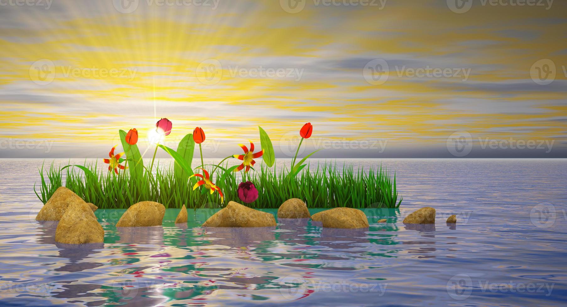 Flowers and stones in water photo