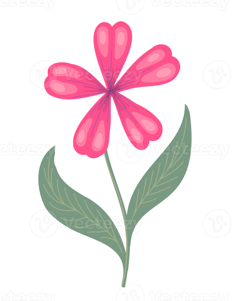 Colorful flower illustration. PNG with transparent background.