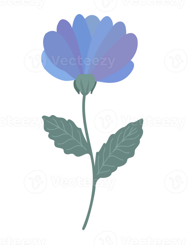 Colorful flower illustration. PNG with transparent background.