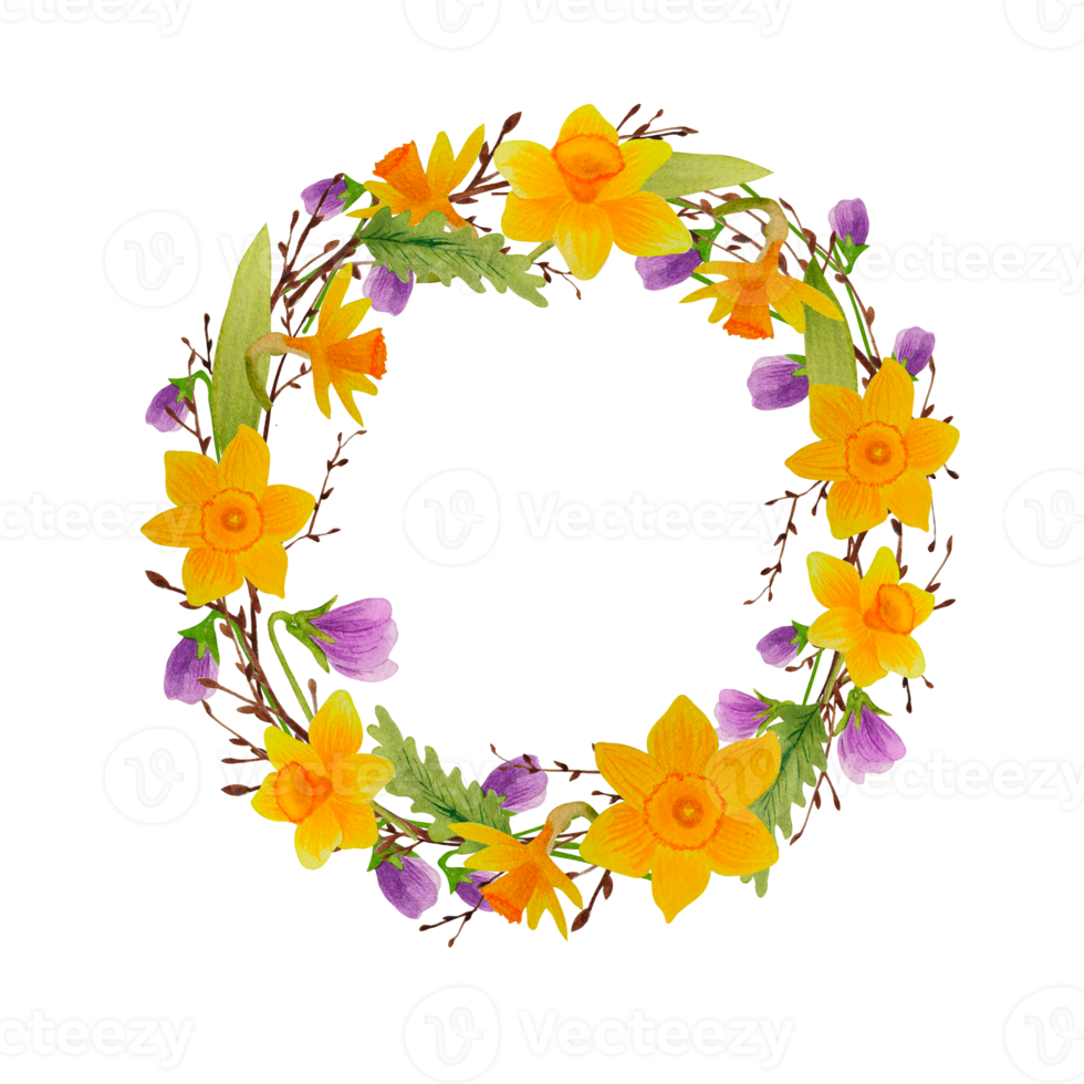 Watercolor spring wreath isolated with birch twigs and flowers png