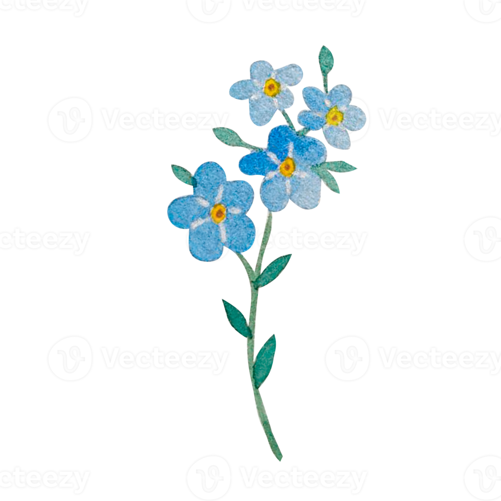 acquerello blu primavera fiori png