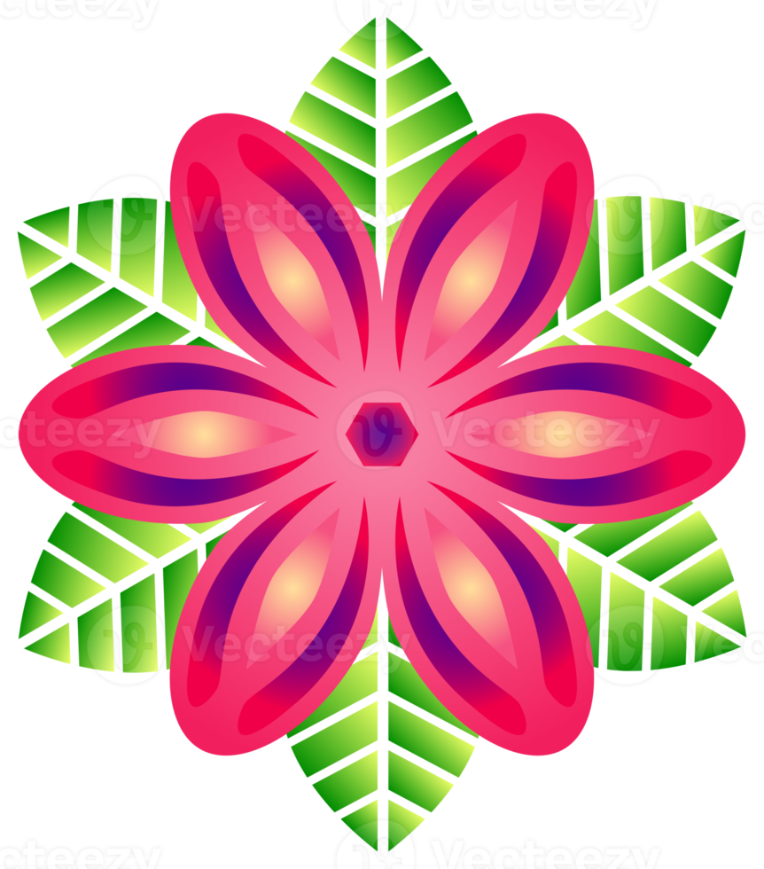 Free ornamento de flores. png com fundo transparente. 12589295 PNG with  Transparent Background