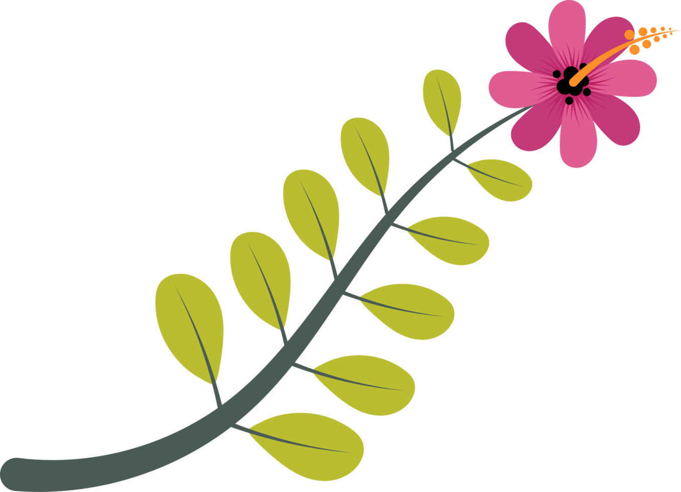 Flower Tree Branch with Leaves png