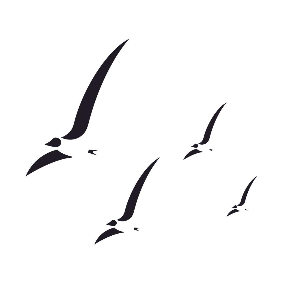 silueta de gaviotas, sobre un fondo transparente vector