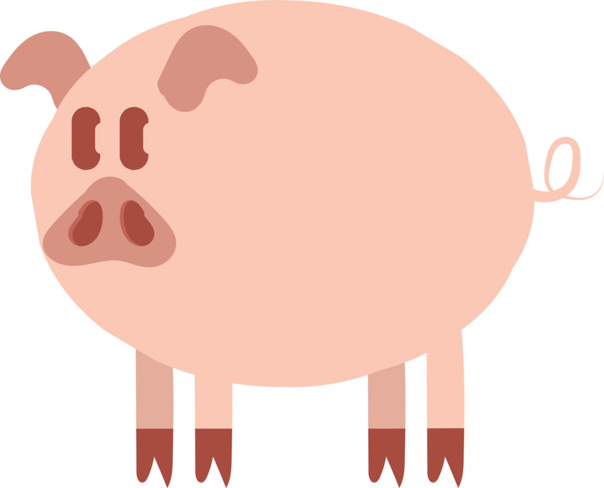 Pig Cartoon Hand Drawn Illustration png