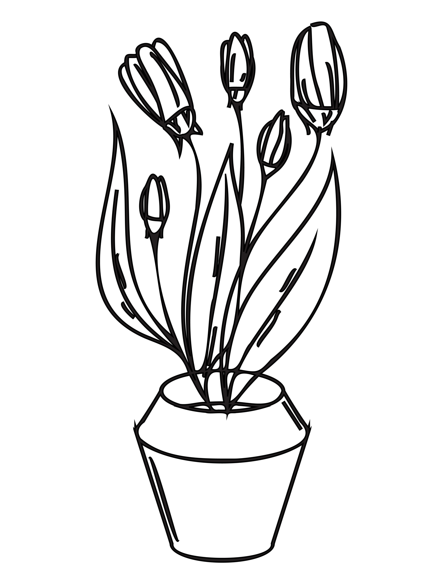 Flowers in a vase outline illustration. PNG with transparent background. 12589550 PNG