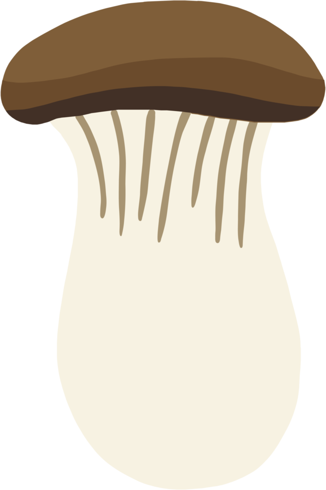 doodle freehand sketch drawing of king trumpet mushroom. png