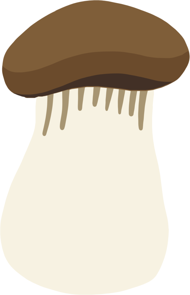 doodle freehand sketch drawing of king trumpet mushroom. png