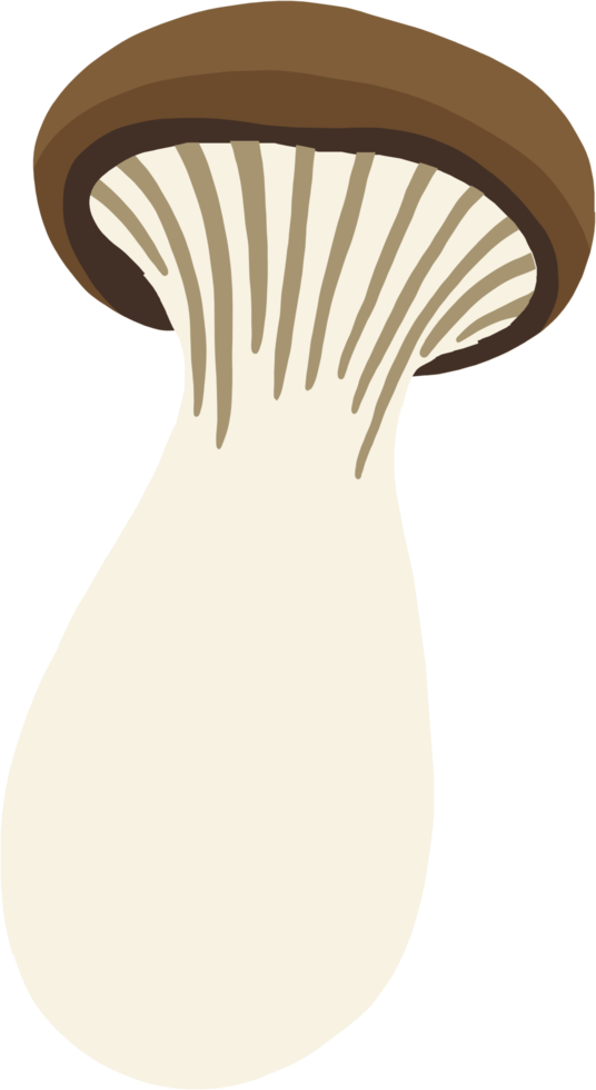 doodle croquis à main levée dessin de champignon trompette roi. png