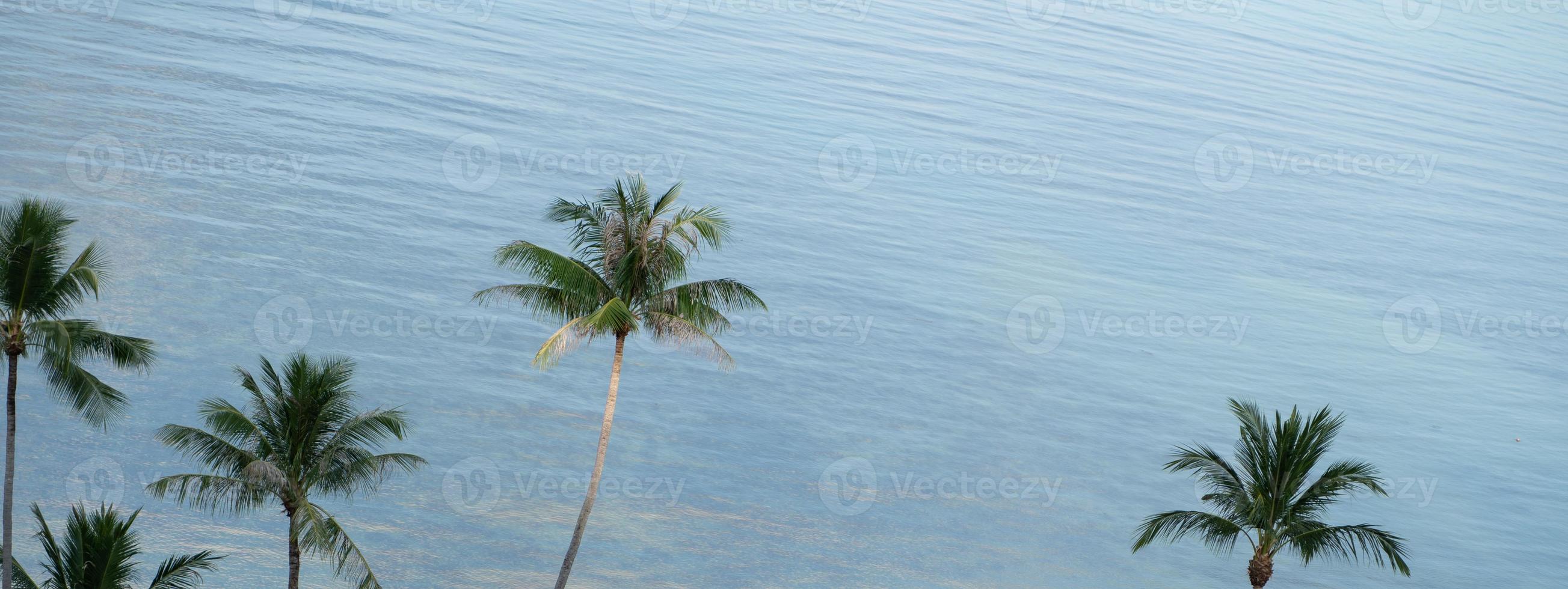 Tropical coconut palm trees over blue ocean and sunlight. photo