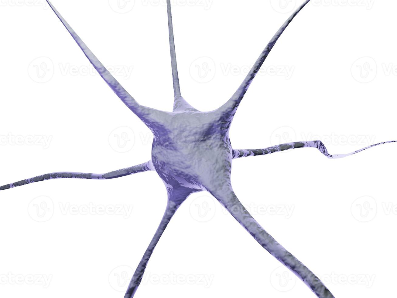 The human brain, neuron cells. science concept , 3D rendering. photo
