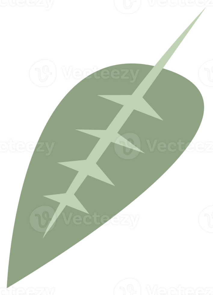 färgrik natur design element. png med transparent bakgrund.