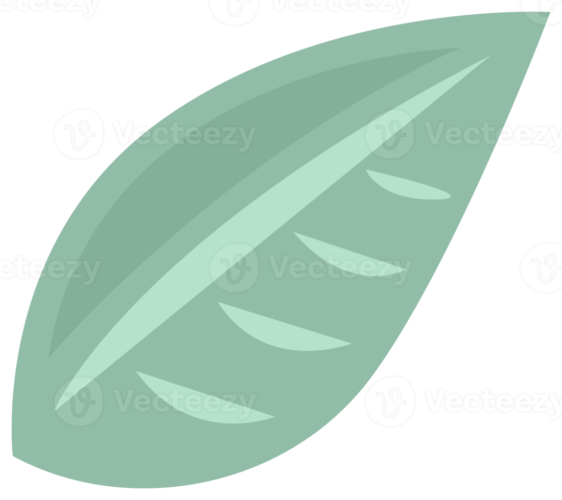 Colorful nature design element. PNG with transparent background.