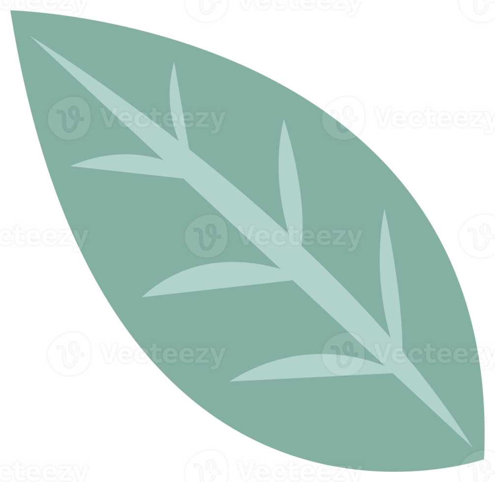 Colorful nature design element. PNG with transparent background.