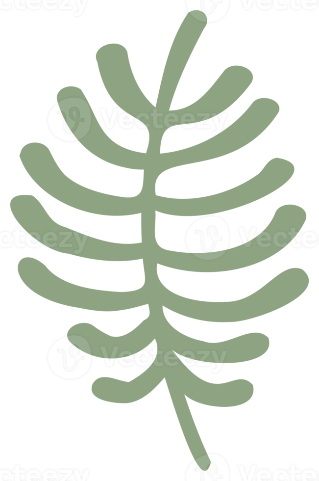 kleurrijk natuur ontwerp element. PNG met transparant achtergrond.