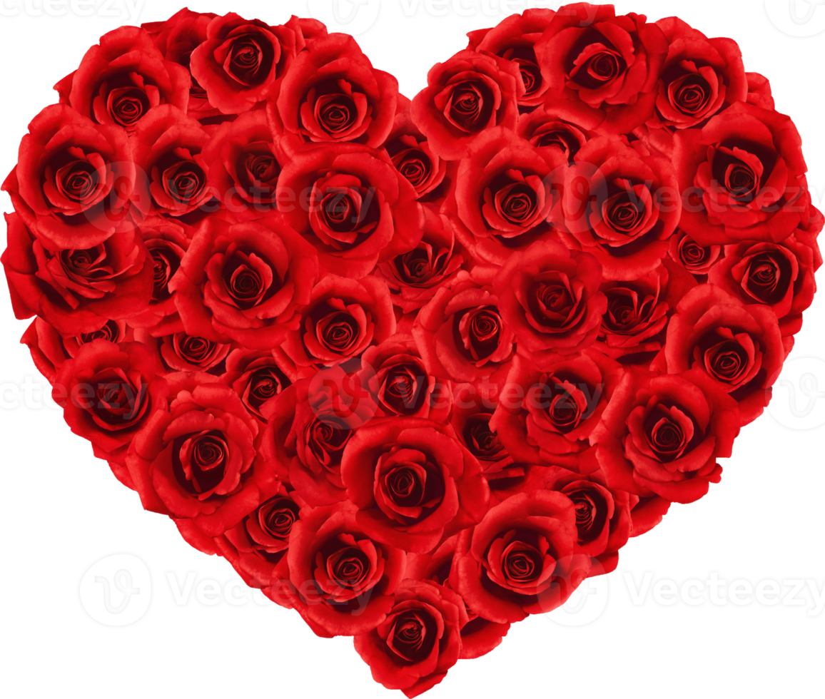 Rose heart shape for love wedding and valentines day png